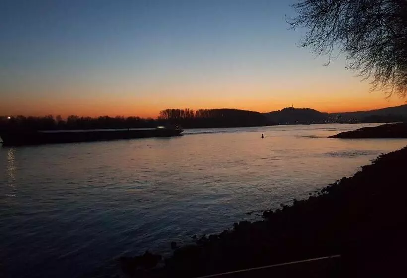 Отель Ruthmann Rheinblick Garni