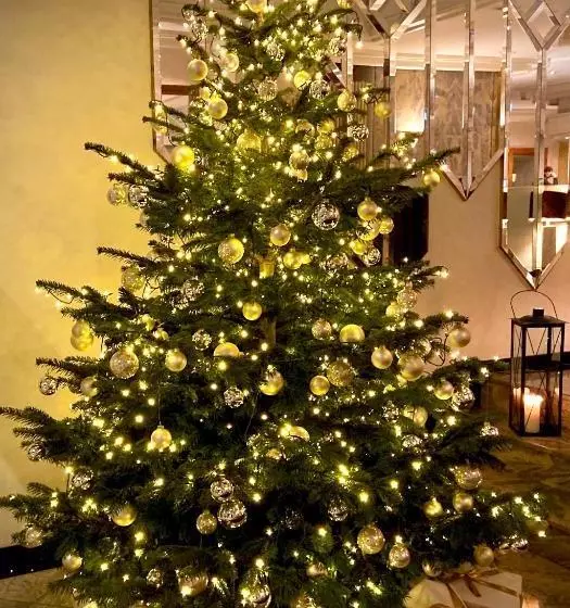 Отель Stadt Tubingen