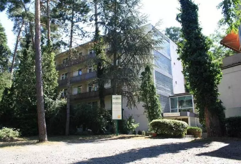 בית מלון כפרי Wald