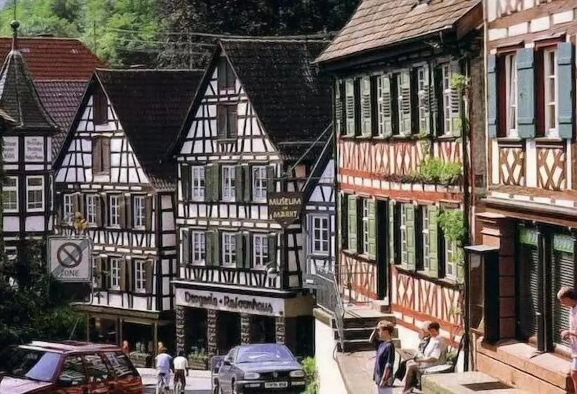 호텔 Zur Alten Brücke