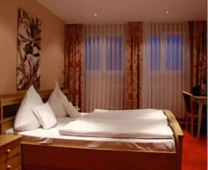 호텔 Zur Alten Brücke