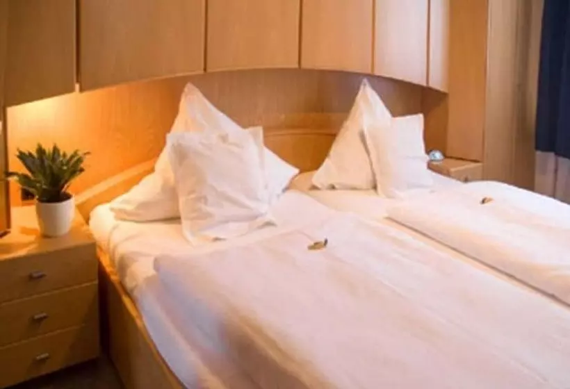 호텔 Zur Alten Brücke