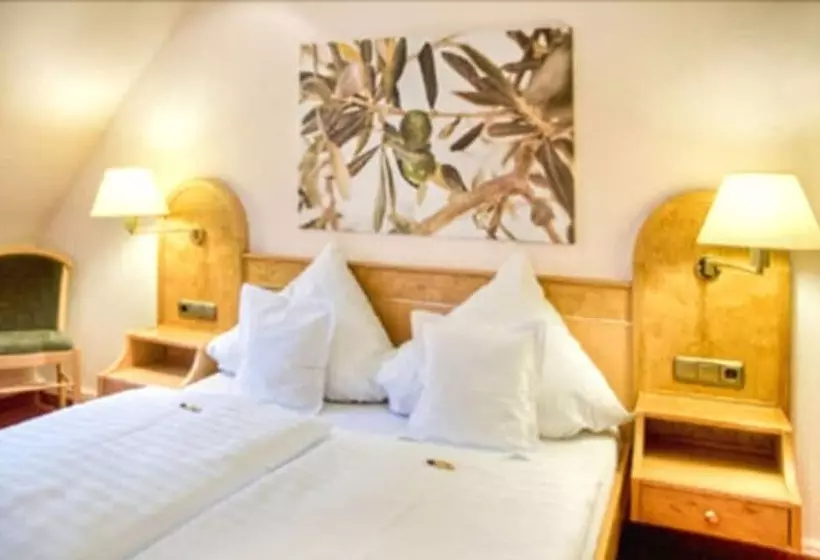 호텔 Zur Alten Brücke