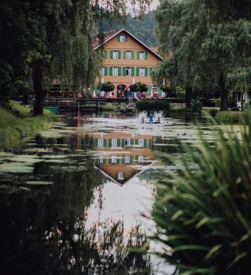 호텔 Zur Alten Mühle