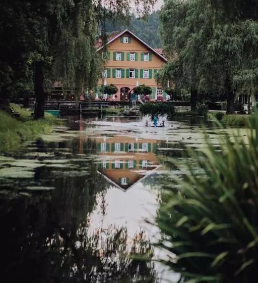 호텔 Zur Alten Mühle