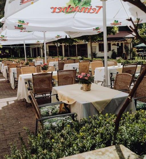 호텔 Zur Alten Mühle