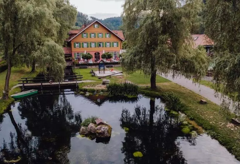 호텔 Zur Alten Mühle