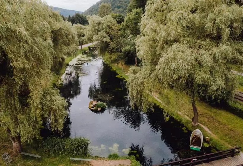 호텔 Zur Alten Mühle