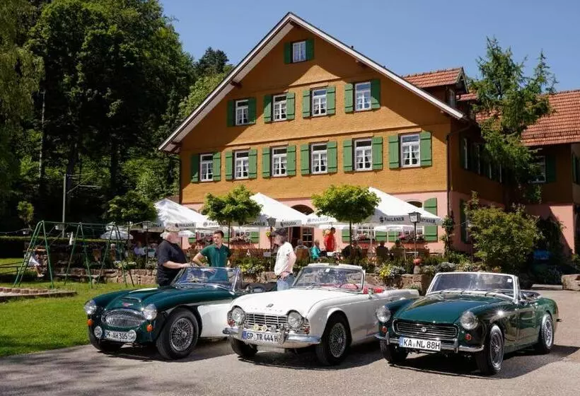 호텔 Zur Alten Mühle