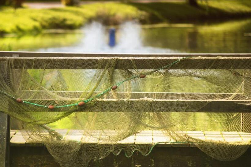 호텔 Zur Alten Mühle