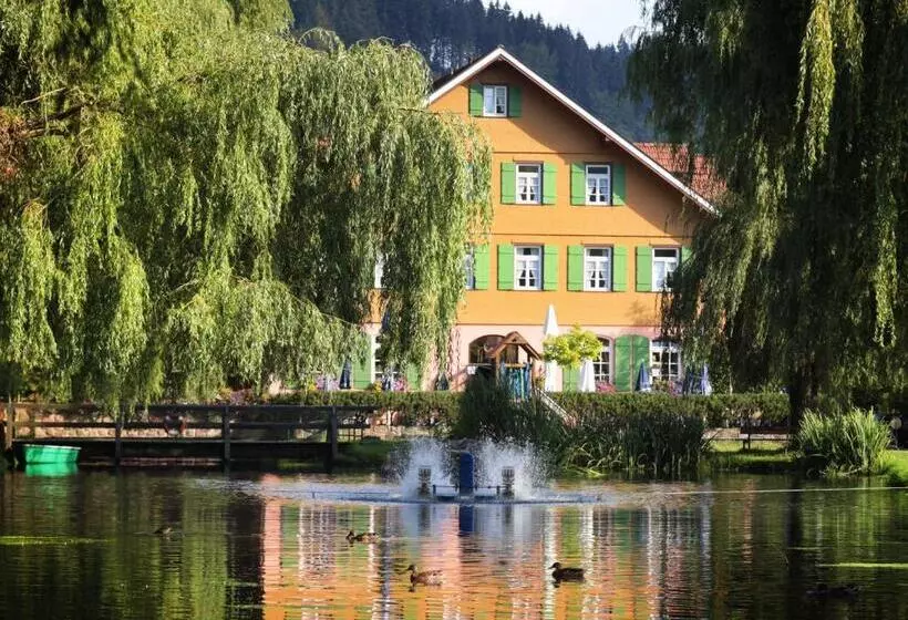 호텔 Zur Alten Mühle
