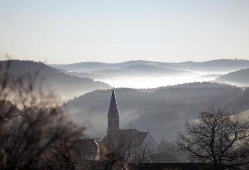 פנסיון Zum Adler Obernheim