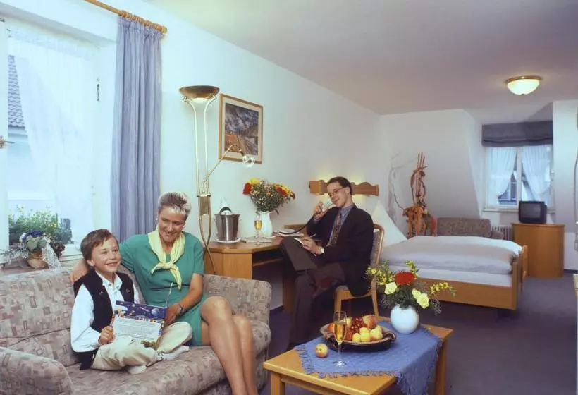 膳宿费 Gasthof Bären