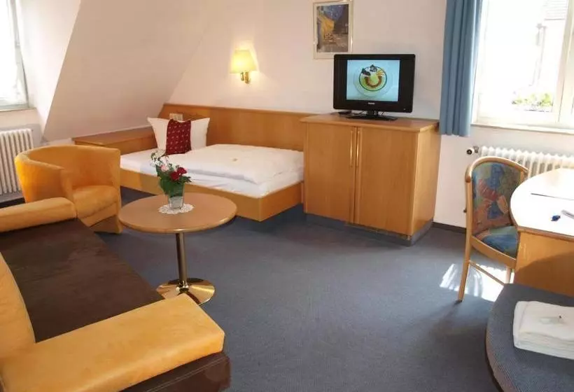 膳宿费 Gasthof Bären