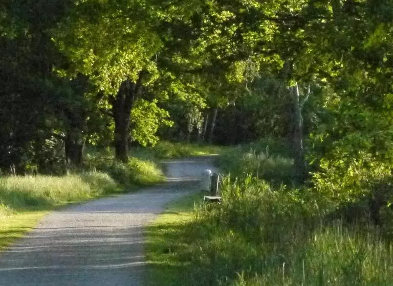 پانسیون Und Gastehaus Will