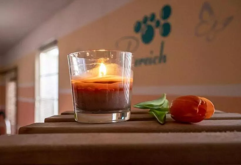 Sporthotel Glück Auf Mönchenfrei