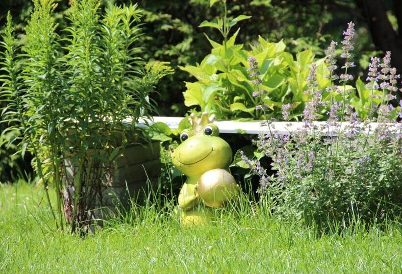 צימר Pension Nocksteinblick