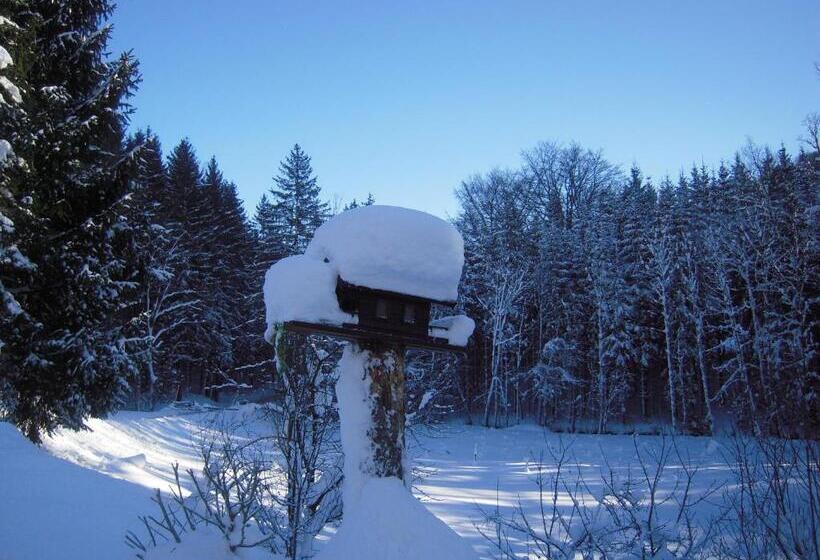 צימר Pension Nocksteinblick