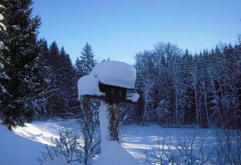 ベッドアンドブレックファースト Pension Nocksteinblick