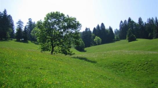 Biovital Hotel Sommerau