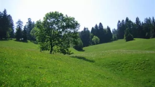 Biovital Hotel Sommerau