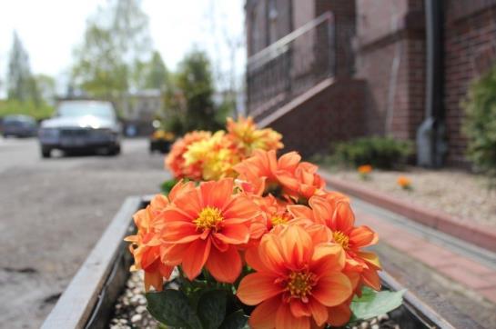 בית מלון כפרי Arkadia Walbrzych