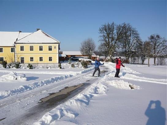 Familienbauernhof Strassbauer