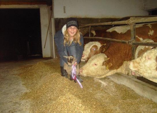 Familienbauernhof Strassbauer