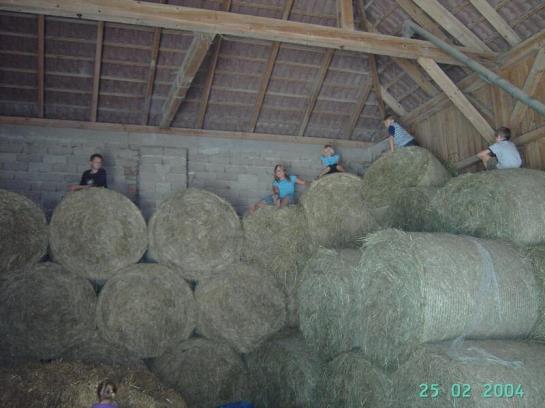 Familienbauernhof Strassbauer