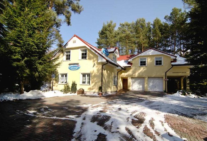 酒店 Ik Gościniec Pod Sosnami Drzonków