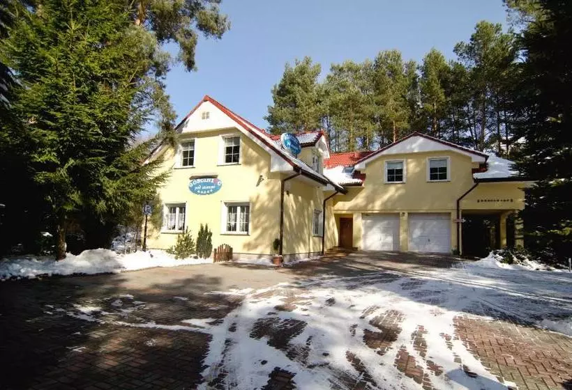 Hotell Ik Gościniec Pod Sosnami Drzonków