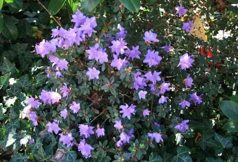 Отель Seeblick Garni