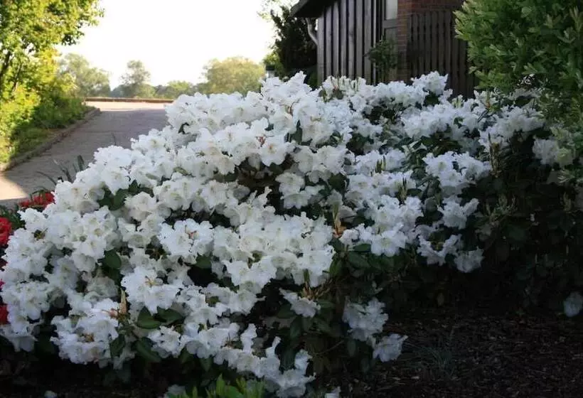 Отель Seeblick Garni