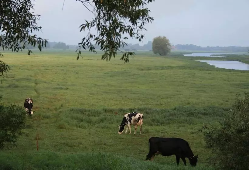Отель Seeblick Garni