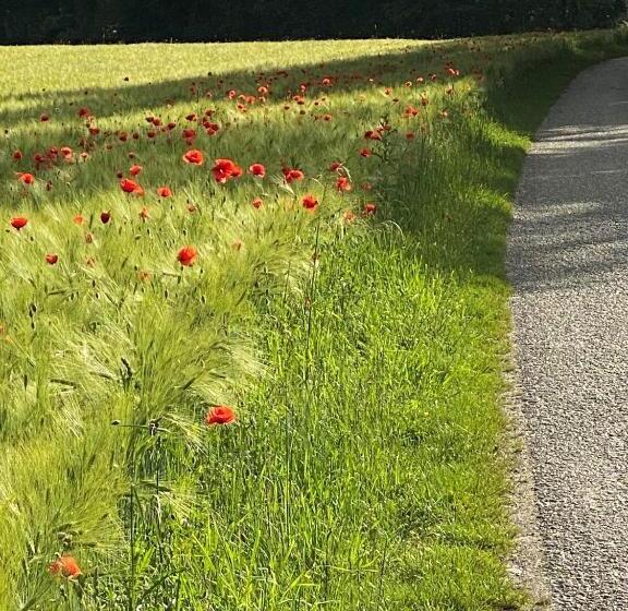 호텔 Zillners Einkehr