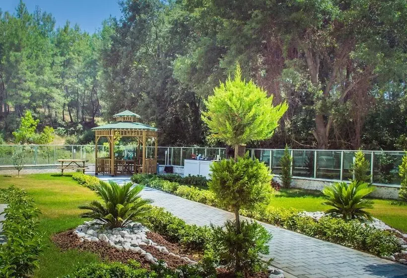 Forest Park Avsallar