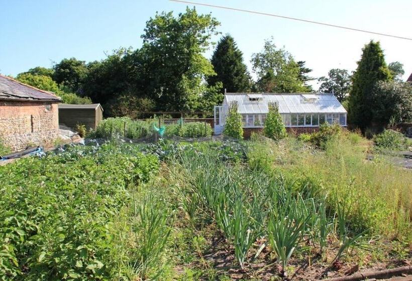 Bed and Breakfast Haughley House