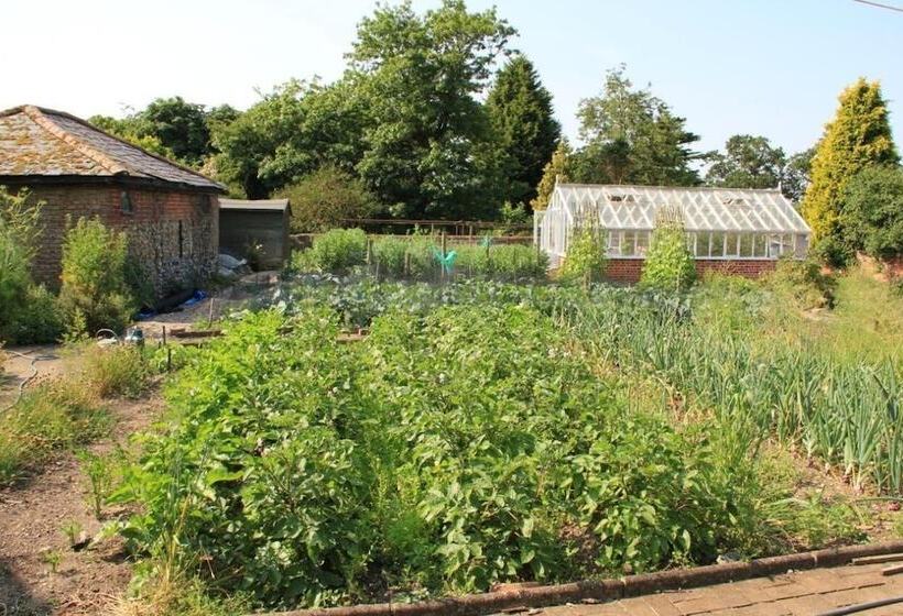 Bed and Breakfast Haughley House