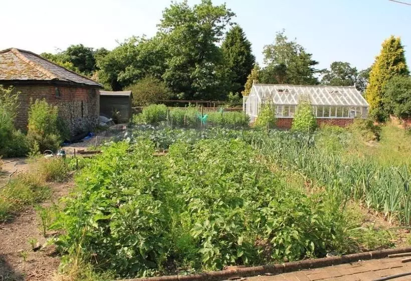 ベッドアンドブレックファースト Haughley House