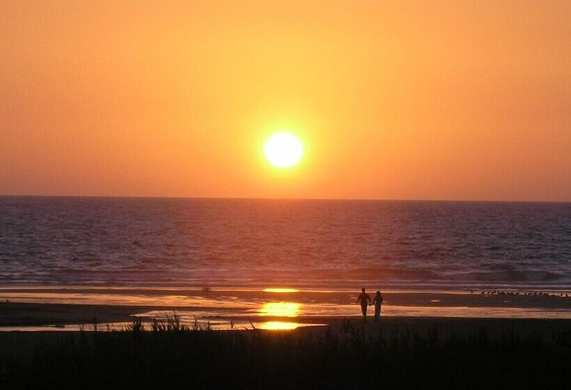 Отель Monte Carvalhal Da Rocha