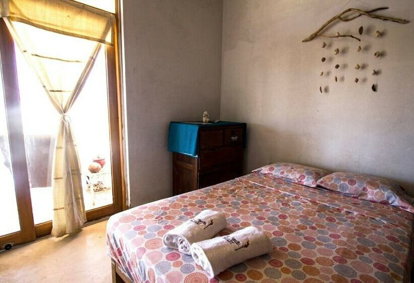 Tiki Surf House   Hostel