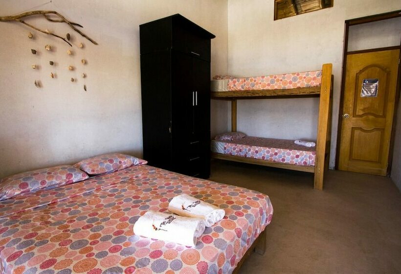 Tiki Surf House   Hostel