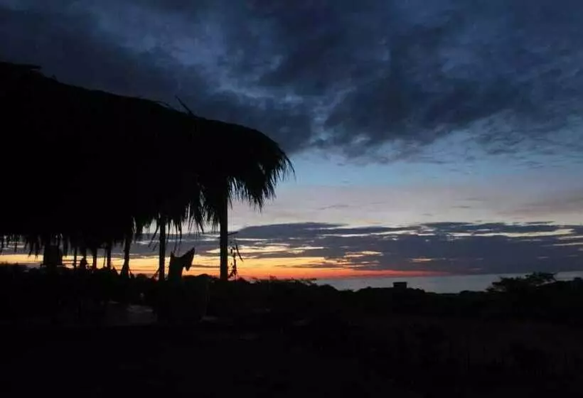 Tiki Surf House   Hostel