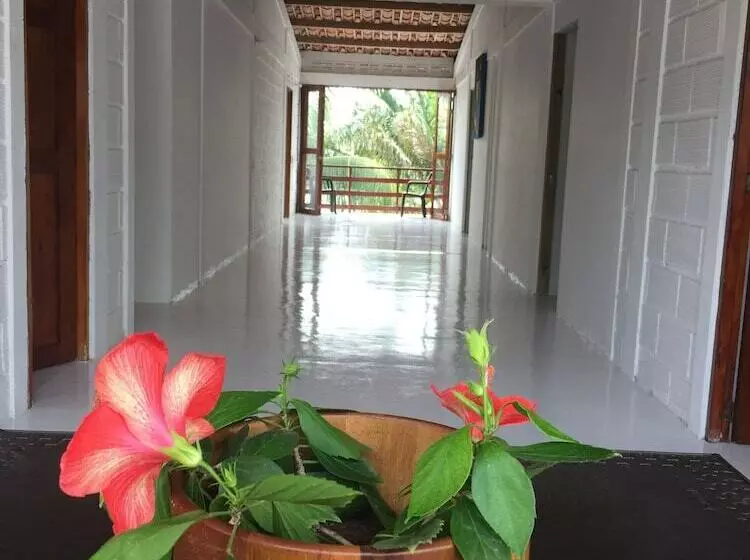 Casa Hotel Los Kunas