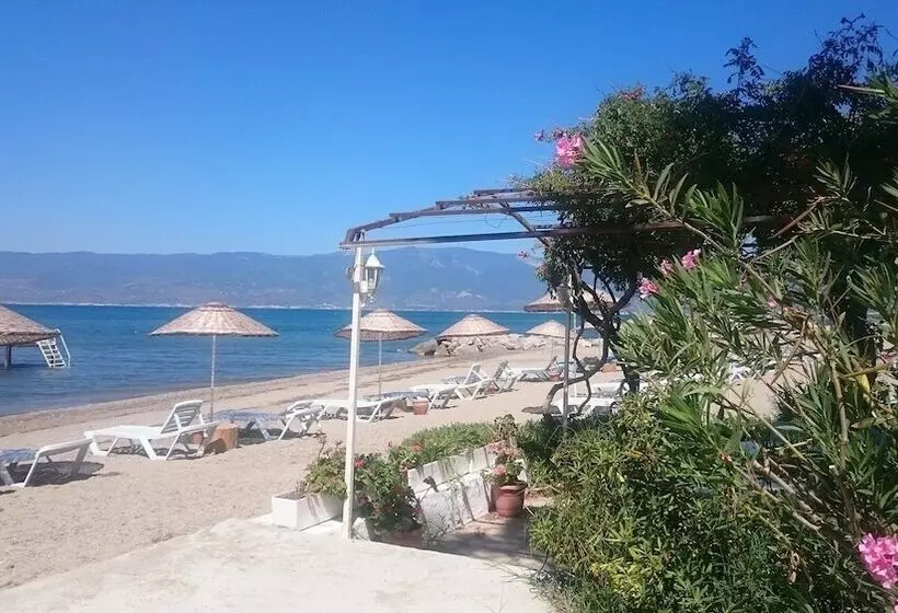 ホテル Altin Camp & Park