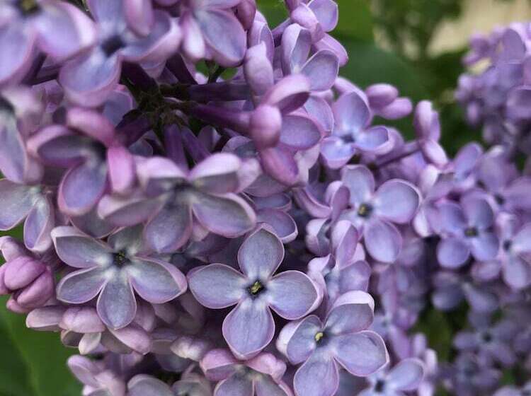 ホテル Belaya Iva