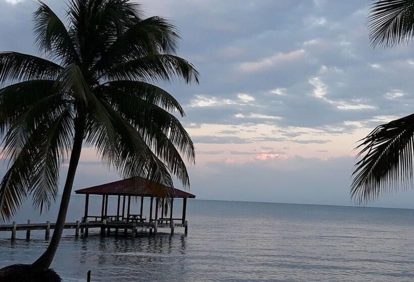 호텔 Coco's Beachfront Cabanas