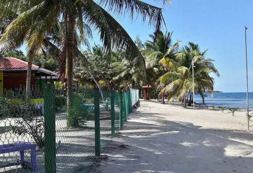 Hotelli Coco's Beachfront Cabanas