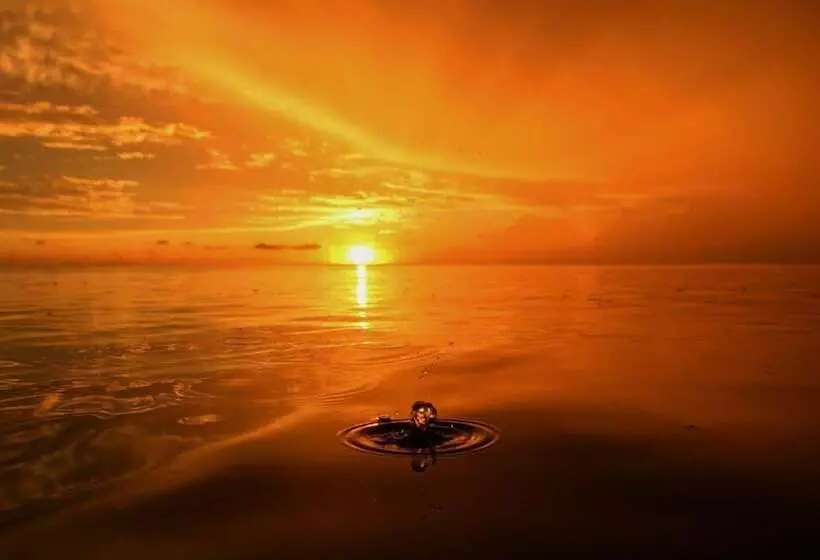 Hotelli Coco's Beachfront Cabanas