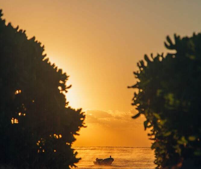 Otel Glamp Ikal Tulum